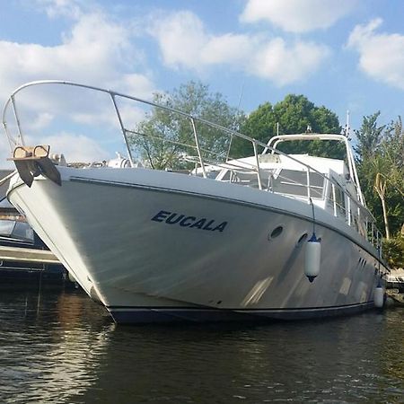 Eucala Motor Yacht Hotell East Molesey Exteriör bild